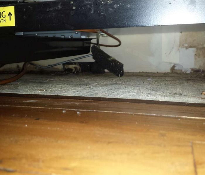 mold in a small area of a home that was experiencing water damage