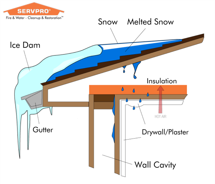 Graphic of roof with ice dam damage and water damage