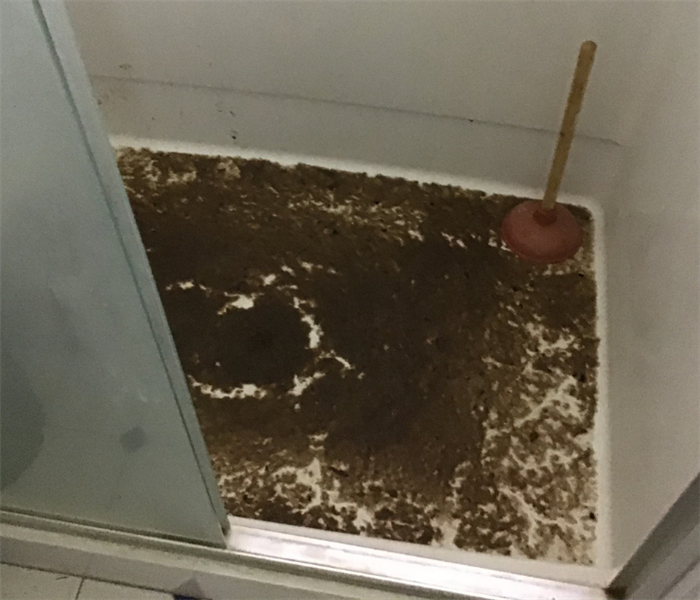 brown raw sewage in shower of basement due to a backup from the drain